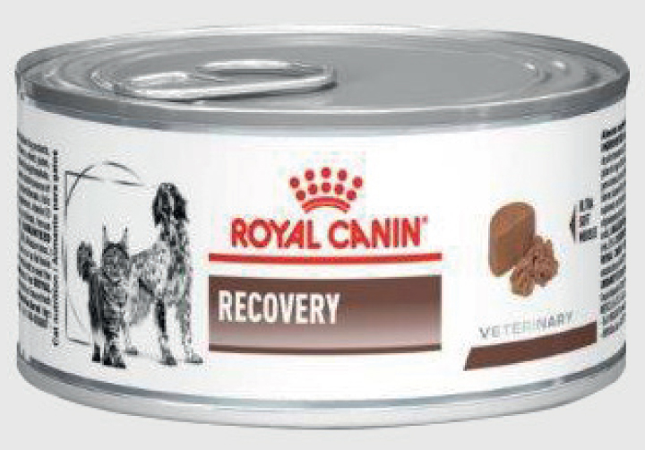 ROYAL CANIN VHN Cat/Dog konz. Recovery 195 g