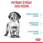 RC SHN MEDIUM PUPPY 15KG