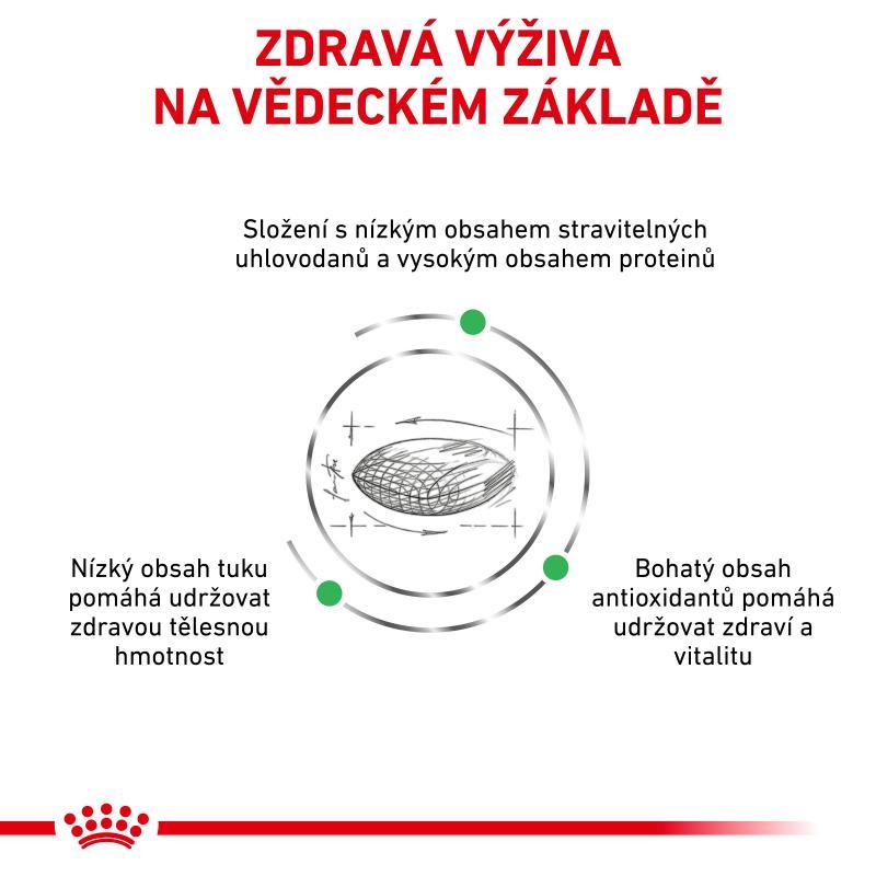 RC VHN Dog diabetic 1,5kg