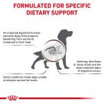 RC VHN DOG Gastro Intestinal Low Fat  1,5kg