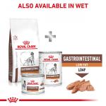 RC VHN DOG Gastro Intestinal Low Fat  1,5kg
