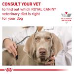 RC VHN DOG Gastro Intestinal Low Fat  1,5kg