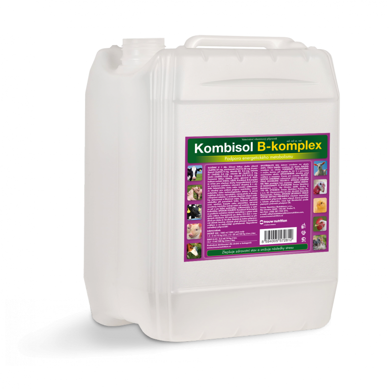 Kombisol B-Komplex  5l