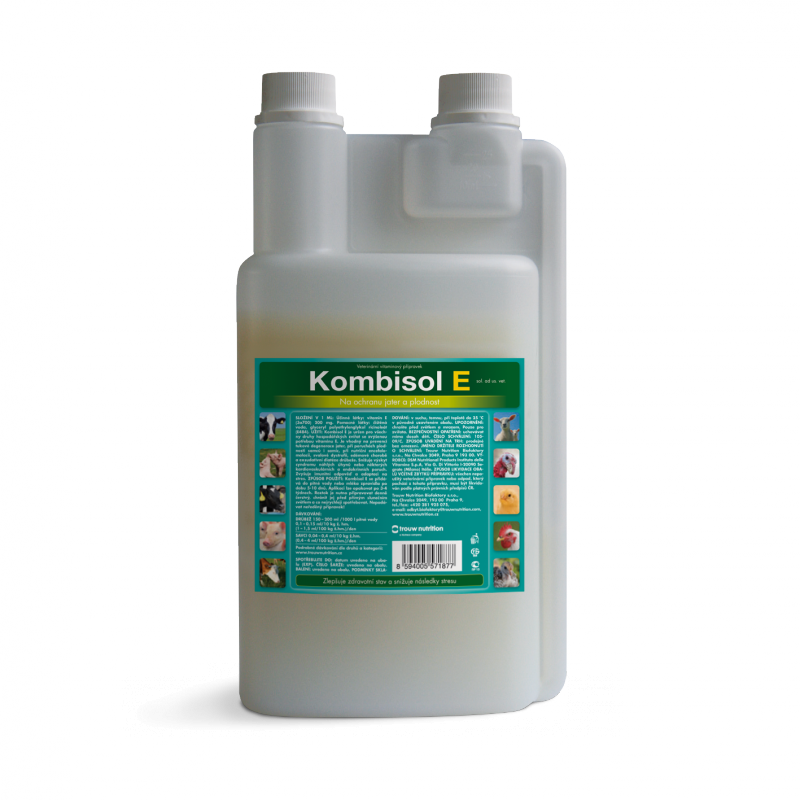 Kombisol E 1l