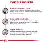RC VHN DOG Renal kapsa 12x100g