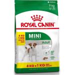 RC SHN MINI ADULT 8+1KG GRATIS