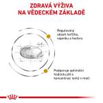 RC VHN Cat Urinary S/O 7kg