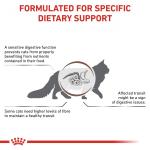 RC VHN CAT Gastro Intestinal Fibre Response 2kg
