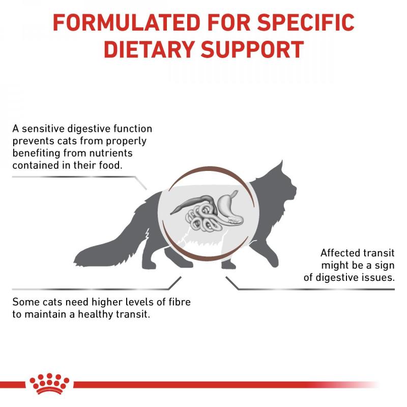 RC VHN CAT Gastro Intestinal Fibre Response 2kg