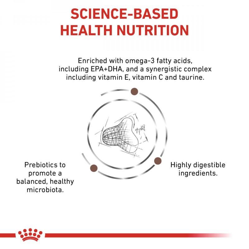 RC VHN CAT Gastro Intestinal Fibre Response 2kg