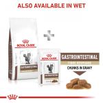 RC VHN CAT Gastro Intestinal Fibre Response 2kg