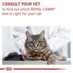 RC VHN CAT Gastro Intestinal Fibre Response 2kg