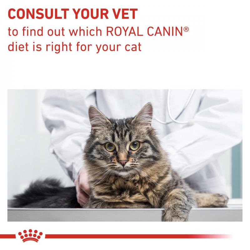RC VHN CAT Gastro Intestinal Fibre Response 2kg