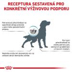 RC VHN dog Hypoallergenic Mod Calorie 14kg