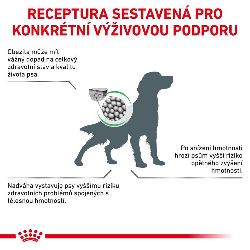 RC VHN dog satiety weight management 6KG