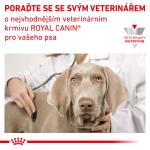 RC VHN dog satiety weight management 6KG