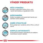 RC VHN Dog SKIN CARE 2KG