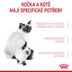 RC FHN MOTHER+BABYCAT 4kg