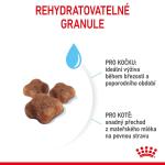 RC FHN MOTHER+BABYCAT 2KG