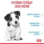 RC SHN MINI PUPPY 2KG