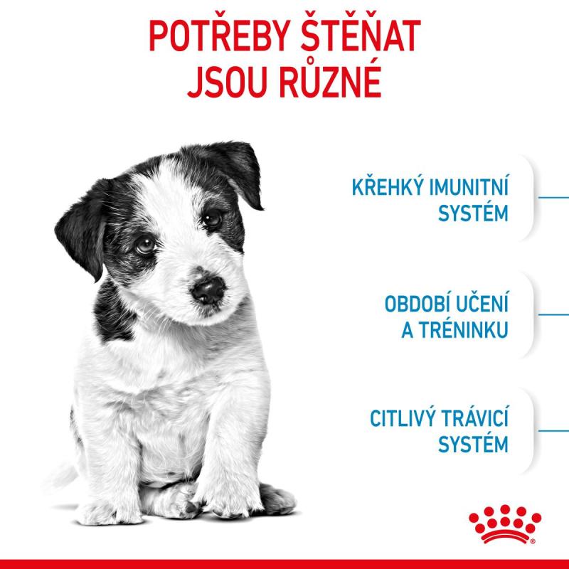 RC SHN MINI PUPPY 2KG