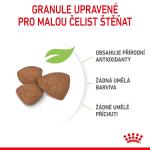 RC SHN MINI PUPPY 2KG