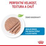 RC SHN STARTER Mother+Babydog mousse konz.195g