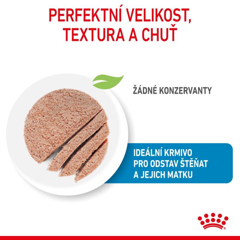 RC SHN STARTER Mother+Babydog mousse konz.195g