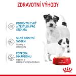 RC SHN STARTER Mother+Babydog mousse konz.195g