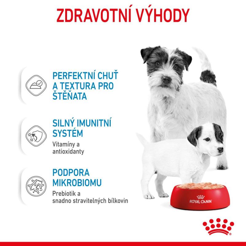 RC SHN STARTER Mother+Babydog mousse konz.195g