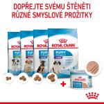 RC SHN STARTER Mother+Babydog mousse konz.195g