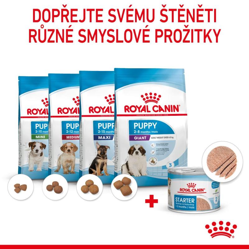 RC SHN STARTER Mother+Babydog mousse konz.195g