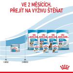 RC SHN STARTER Mother+Babydog mousse konz.195g