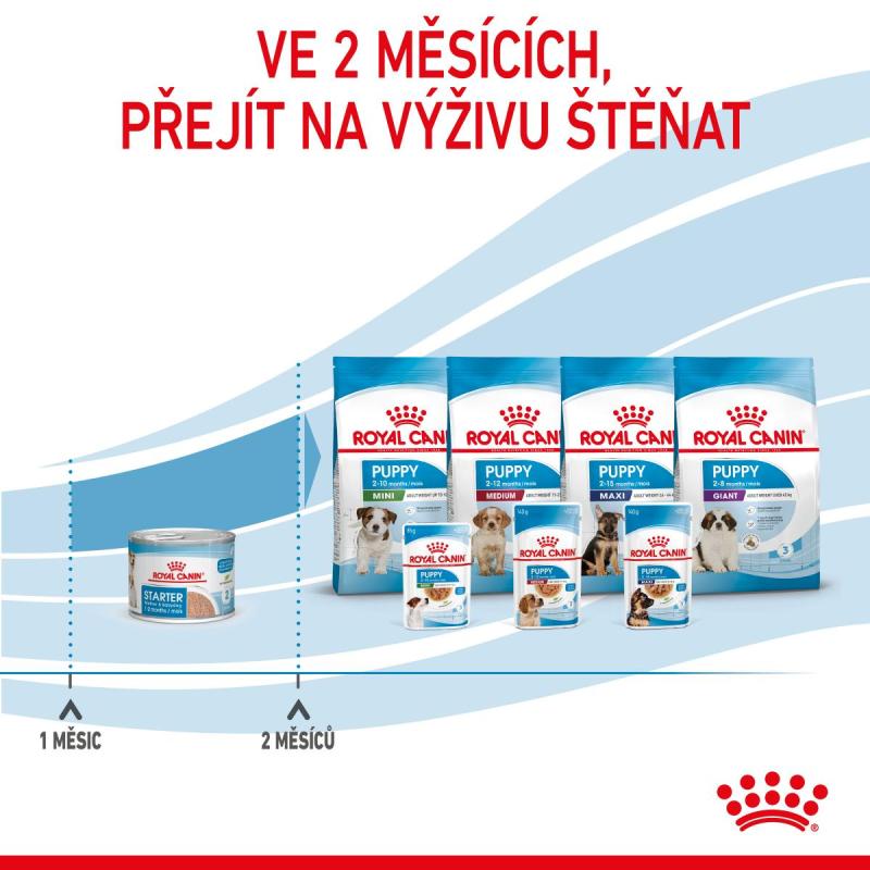 RC SHN STARTER Mother+Babydog mousse konz.195g