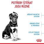 RC SHN MAXI PUPPY 4KG