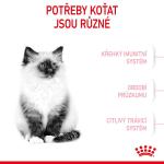 RC FHN KITTEN 10KG