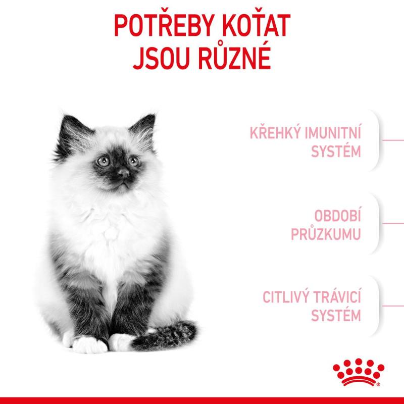 RC FHN KITTEN 10KG