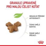 RC FHN KITTEN 10KG