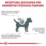 RC VHN dog satiety small dogs 3KG
