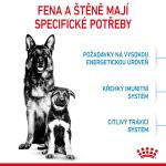 RC SHN MAXI STARTER MOTHER&BABYDOG 4 kg