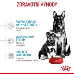 RC SHN MAXI STARTER MOTHER&BABYDOG 4 kg