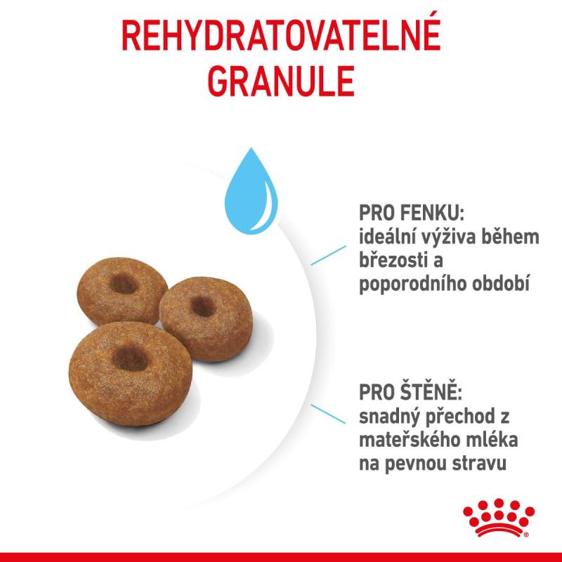 RC SHN MAXI STARTER MOTHER&BABYDOG 4 kg
