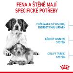RC SHN MEDIUM STARTER MOTHER&BABYDOG 15 kg