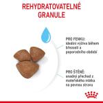 RC SHN MINI STARTER MOTHER&amp;amp;BABYDOG 4 kg