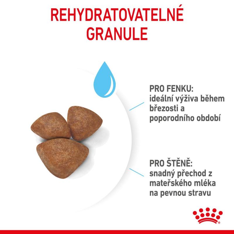 RC SHN MINI STARTER MOTHER&amp;amp;BABYDOG 4 kg