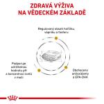 RC VHN dog urinary S/O 2 kg