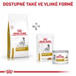 RC VHN dog urinary S/O 2 kg