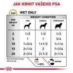 RC VHN dog urinary s/o konz. 410g