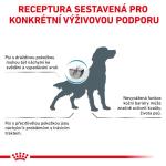 RC VHN Dog SKIN CARE 11KG