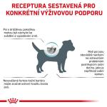 RC VHN Dog SKIN care adult small dog 4KG